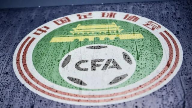 开云体育APP下载-中国足球绝不能走西方之路④：伪职业化，诡辩术